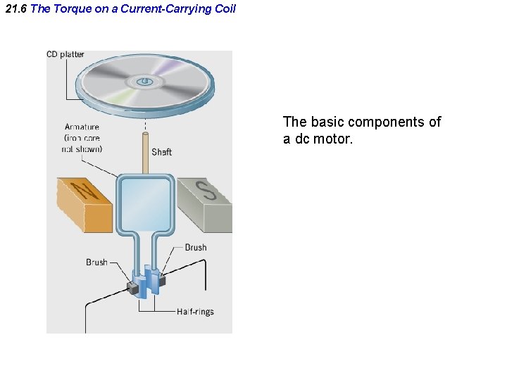 21. 6 The Torque on a Current-Carrying Coil The basic components of a dc
