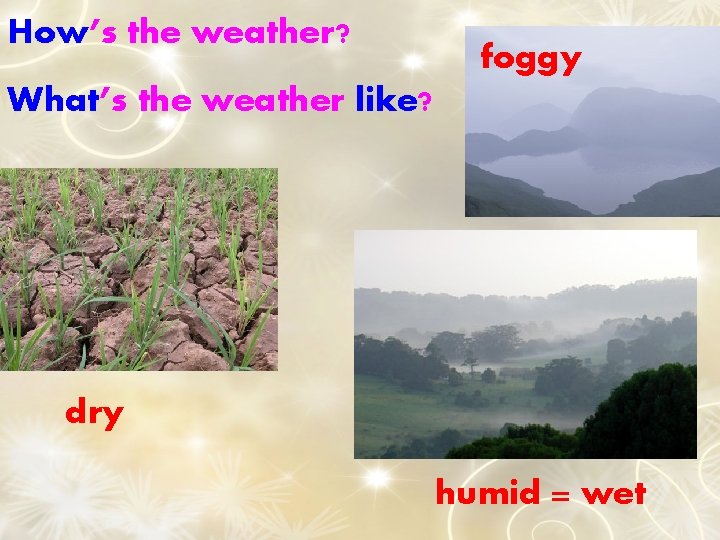 How’s the weather? foggy What’s the weather like? dry humid = wet 