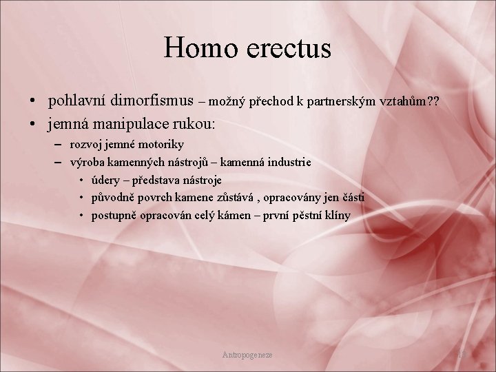 Homo erectus • pohlavní dimorfismus – možný přechod k partnerským vztahům? ? • jemná