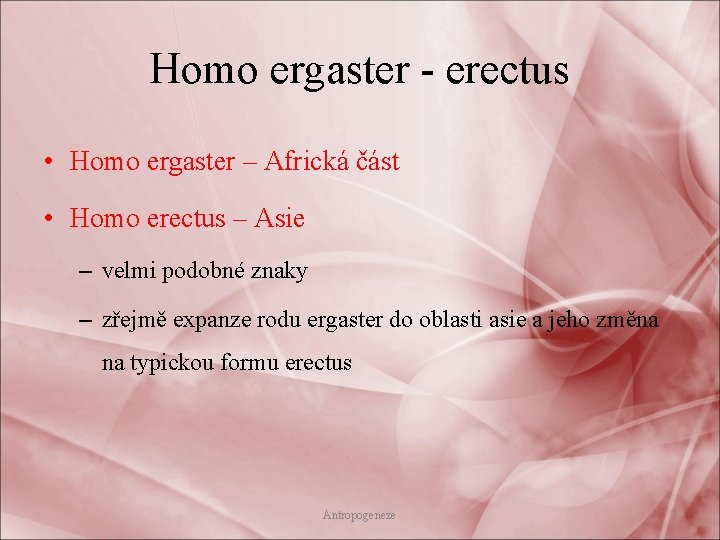Homo ergaster - erectus • Homo ergaster – Africká část • Homo erectus –