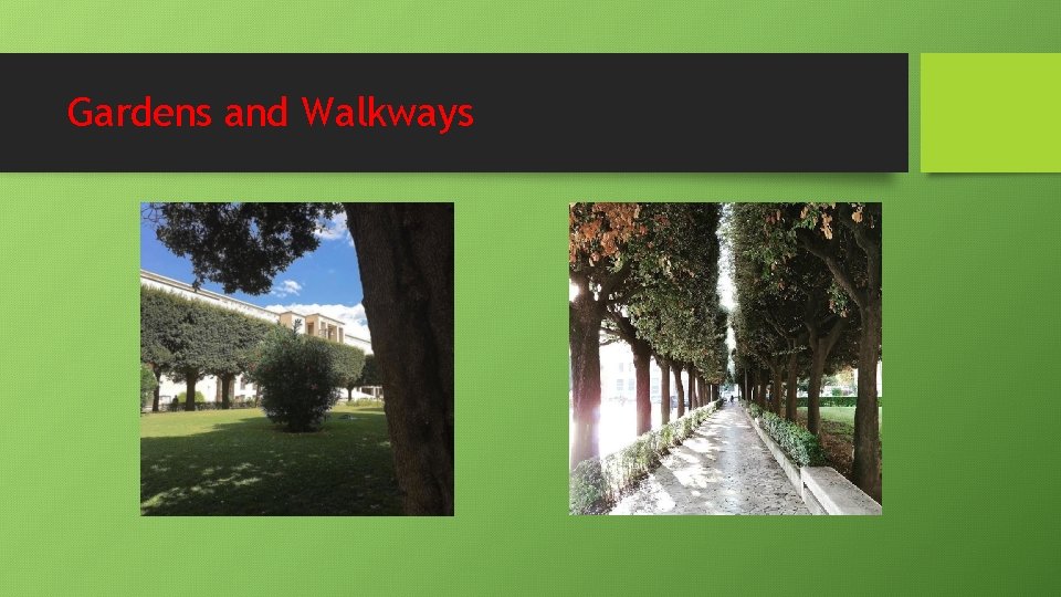 Gardens and Walkways Gardens and Walkways
