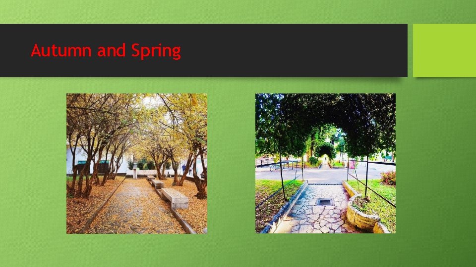 Autumn and Spring Autumn and Spring
