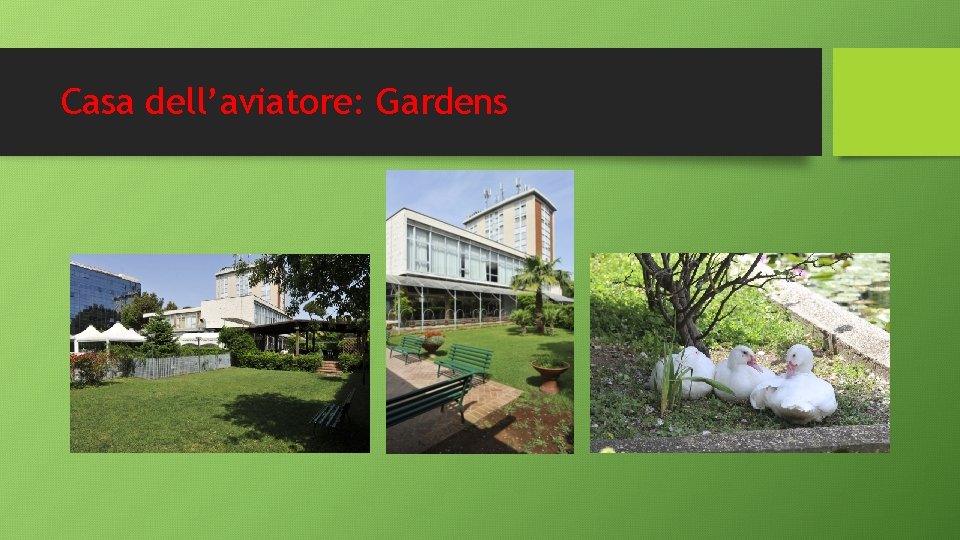 Casa dell’aviatore: Gardens Casa dell’aviatore: Gardens