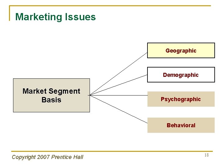 Marketing Issues Geographic Demographic Market Segment Basis Psychographic Behavioral Copyright 2007 Prentice Hall 18