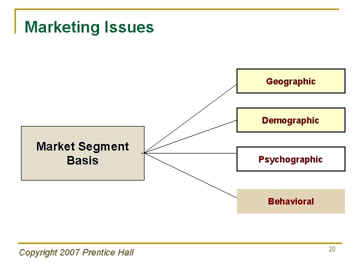 Marketing Issues Geographic Demographic Market Segment Basis Psychographic Behavioral Copyright 2007 Prentice Hall 20