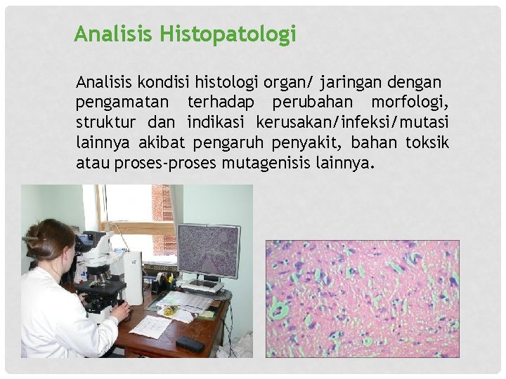 Analisis Histopatologi Analisis kondisi histologi organ/ jaringan dengan pengamatan terhadap perubahan morfologi, struktur dan