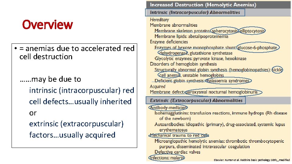 Overview • = anemias due to accelerated red cell destruction ……may be due to