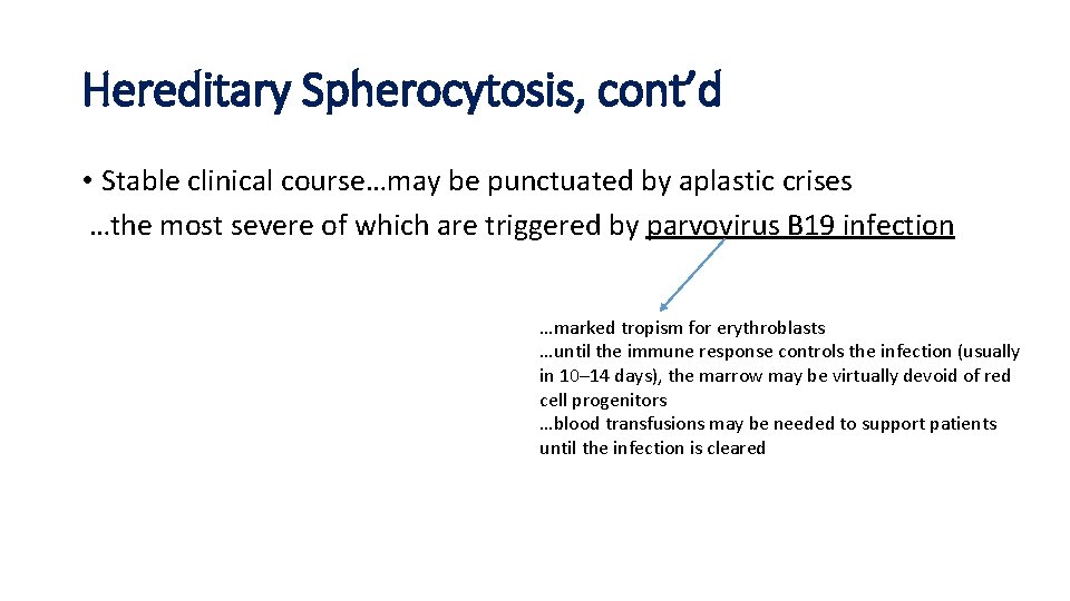 Hereditary Spherocytosis, cont’d • Stable clinical course…may be punctuated by aplastic crises …the most