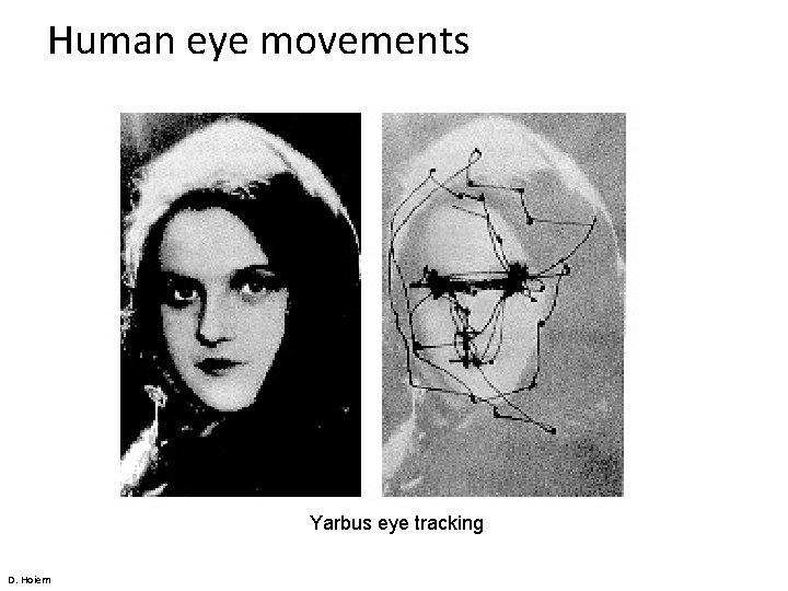 Human eye movements Yarbus eye tracking D. Hoiem 