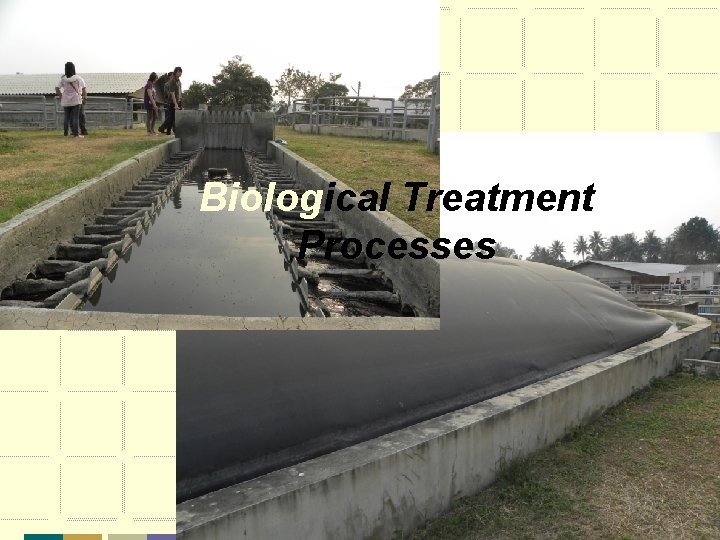 Biological Treatment Processes 
