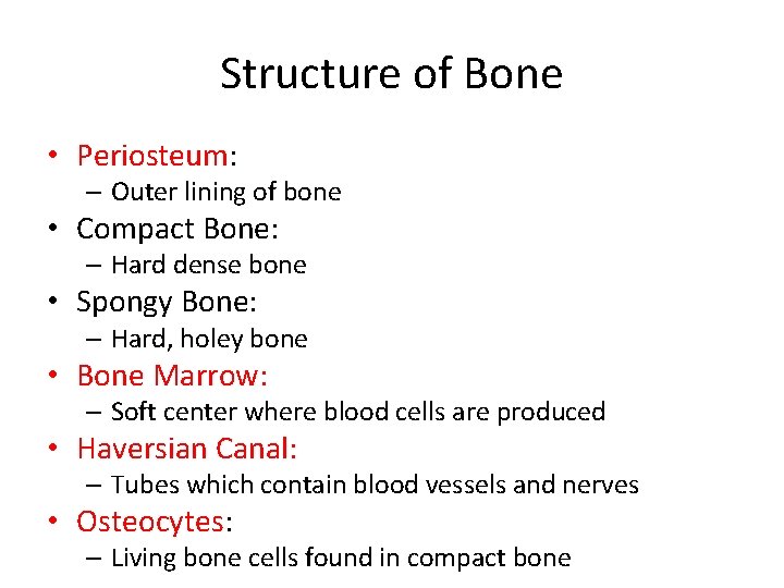 Structure of Bone • Periosteum: – Outer lining of bone • Compact Bone: –