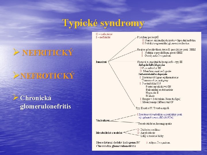 Typické syndromy Ø NEFRITICKÝ ØNEFROTICKÝ Ø Chronická glomerulonefritis 