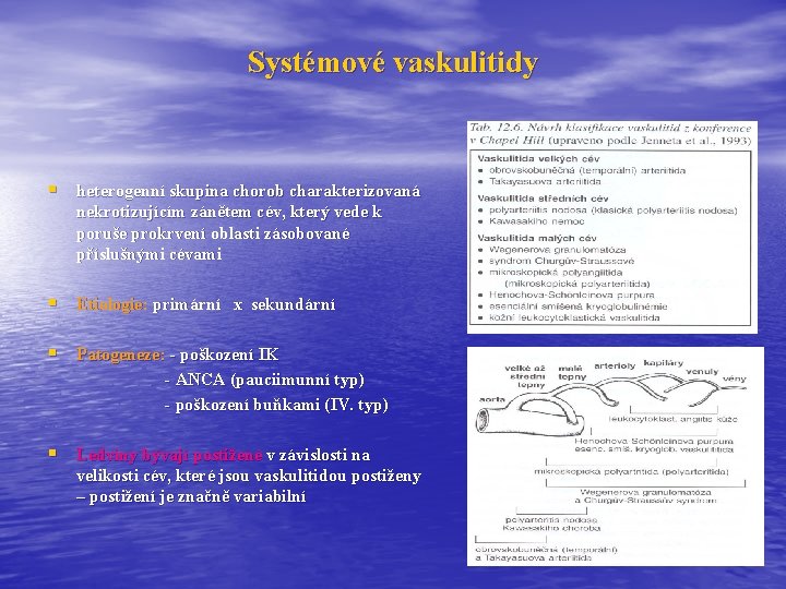 Systémové vaskulitidy § heterogenní skupina chorob charakterizovaná nekrotizujícím zánětem cév, který vede k poruše