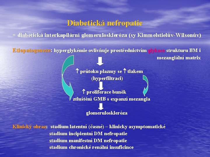 Diabetická nefropatie = diabetická interkapilární glomeruloskleróza (sy Kimmelstielův-Wilsonův) Etiopatogeneze: hyperglykémie ovlivňuje prostřednictvím glykace strukturu