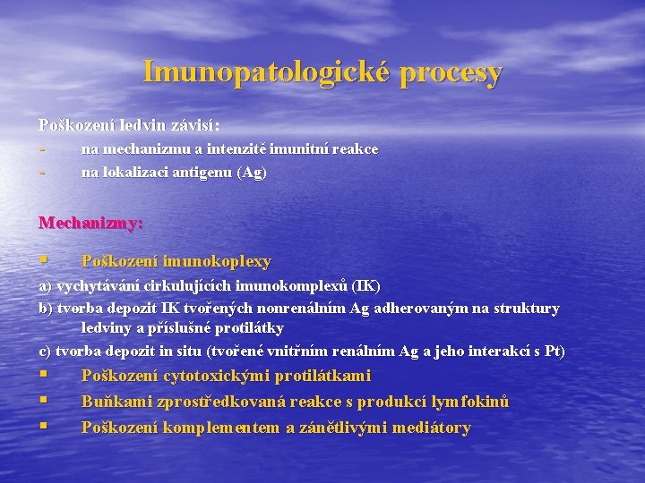 Imunopatologické procesy Poškození ledvin závisí: - na mechanizmu a intenzitě imunitní reakce na lokalizaci