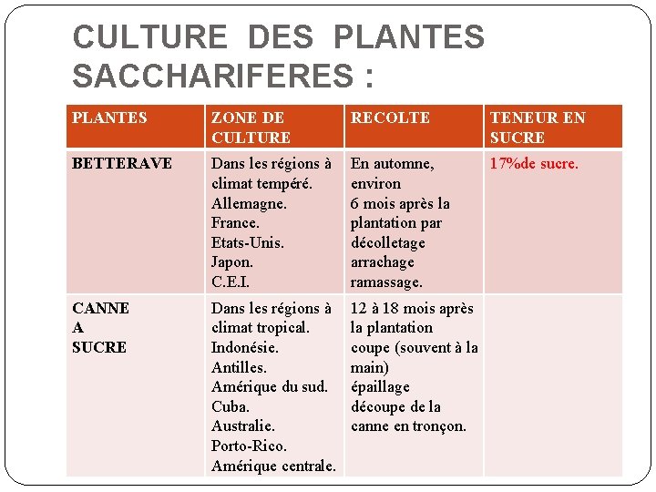 CULTURE DES PLANTES SACCHARIFERES : PLANTES ZONE DE CULTURE RECOLTE TENEUR EN SUCRE BETTERAVE