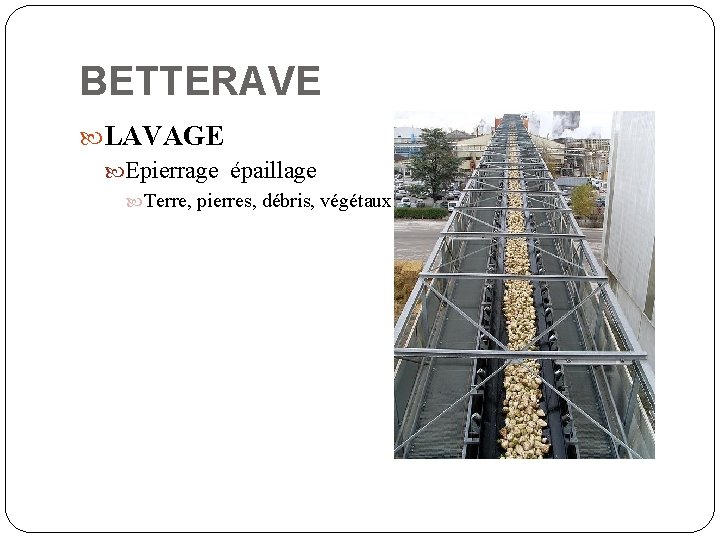 BETTERAVE LAVAGE Epierrage épaillage Terre, pierres, débris, végétaux 