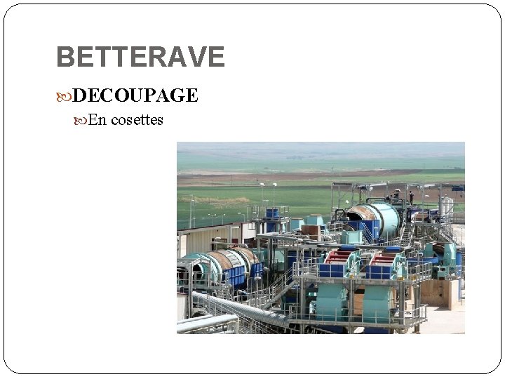 BETTERAVE DECOUPAGE En cosettes BETTERAVE DECOUPAGE En cosettes