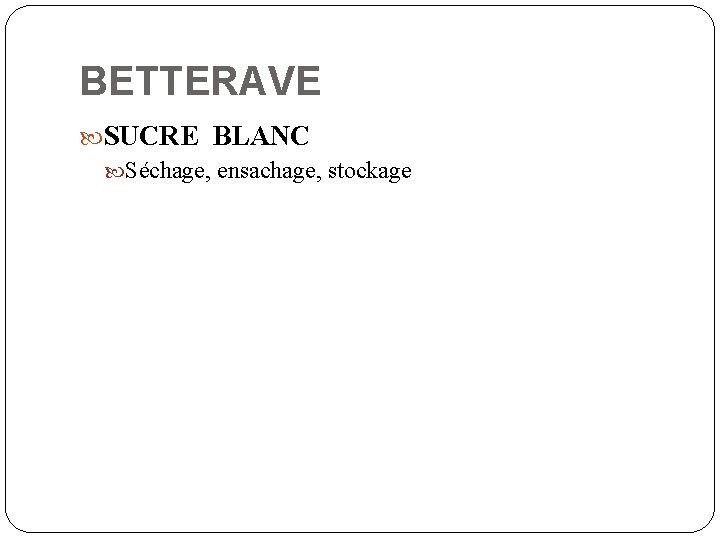 BETTERAVE SUCRE BLANC Séchage, ensachage, stockage 