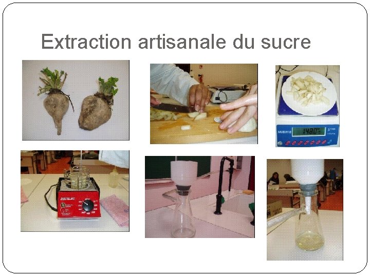 Extraction artisanale du sucre 