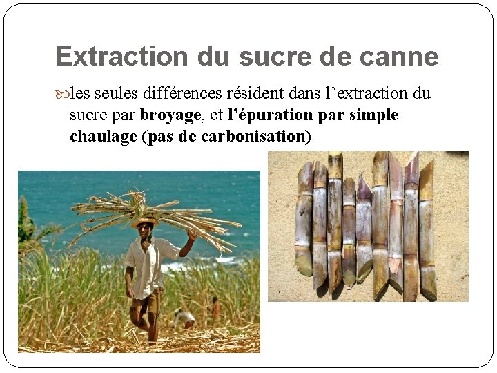 Extraction du sucre de canne les seules différences résident dans l’extraction du sucre par