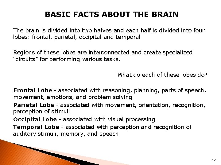 BASIC FACTS ABOUT THE BRAIN The brain is divided into two halves and each