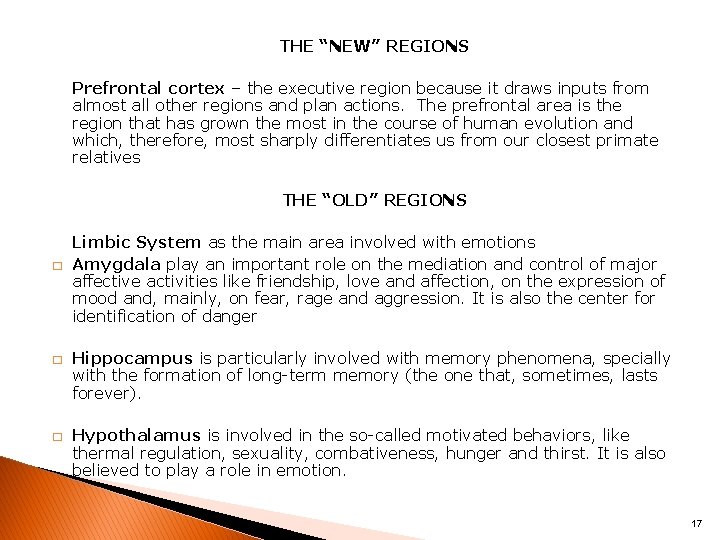 THE “NEW” REGIONS Prefrontal cortex – the executive region because it draws inputs from