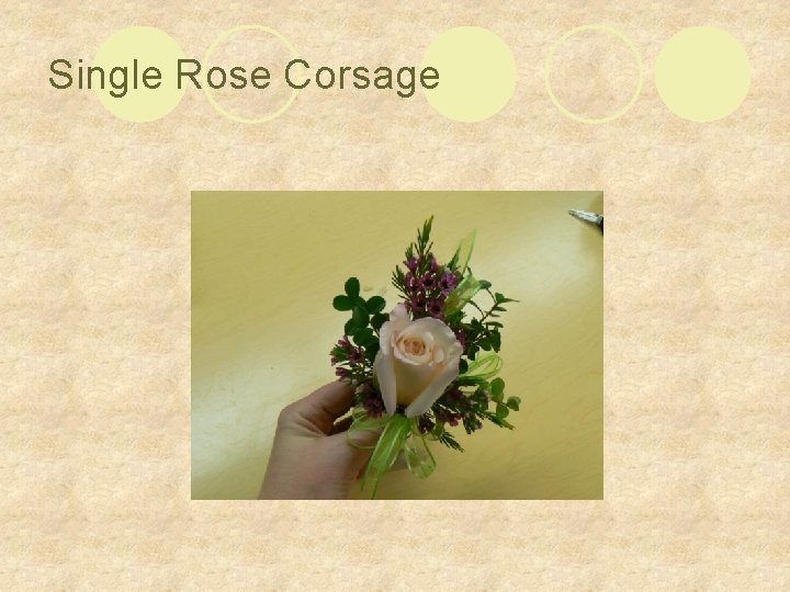 Single Rose Corsage 