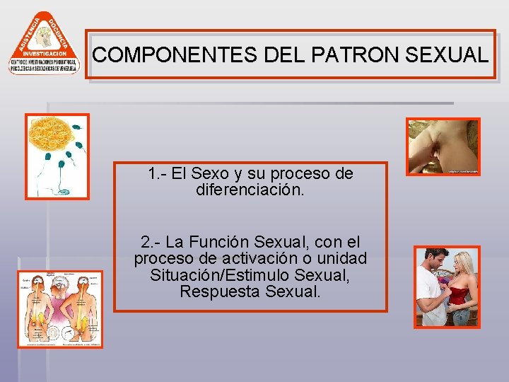 COMPONENTES DEL PATRON SEXUAL 1. - El Sexo y su proceso de diferenciación. 2.