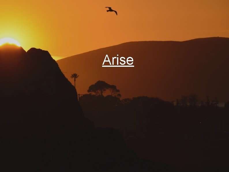 Arise 