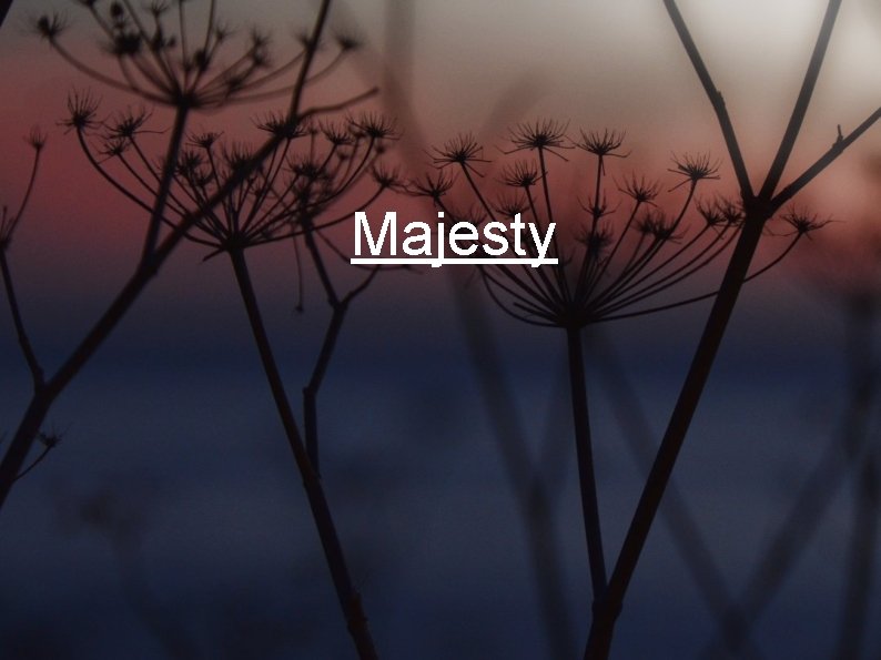 Majesty 