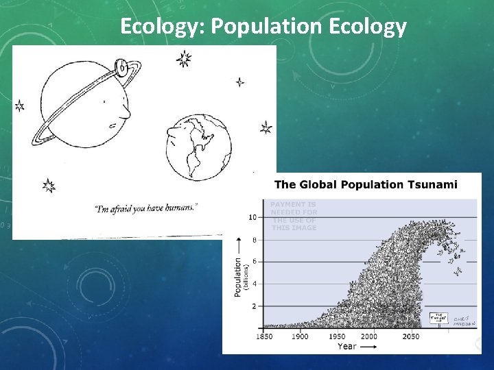 Ecology: Population Ecology 