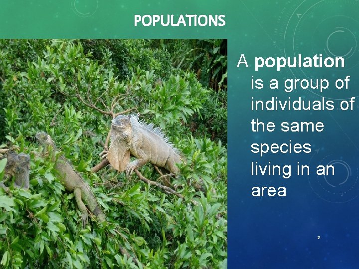 POPULATIONS 3. A population is a group of individuals of the same species living