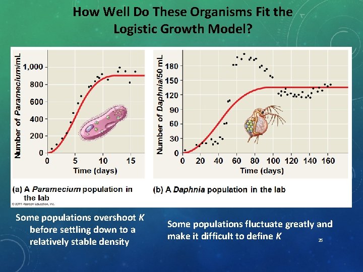 How Well Do These Organisms Fit the Logistic Growth Model? Some populations overshoot K