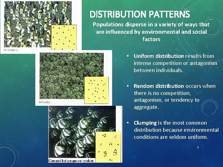 DISTRIBUTION PATTERNS Populations disperse in a variety of ways that are influenced by environmental
