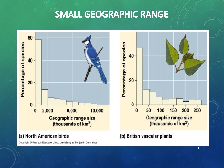 SMALL GEOGRAPHIC RANGE 7 