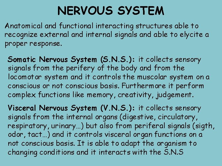 NERVOUS SYSTEM Anatomical and functional interacting structures able to recognize external and internal signals