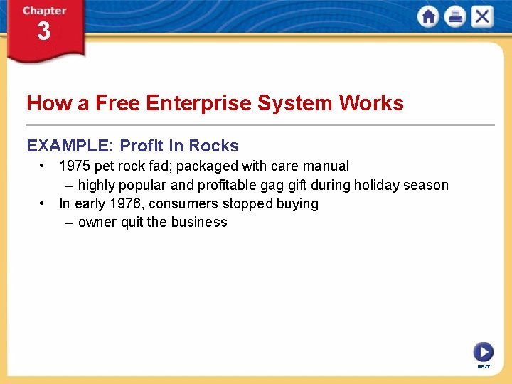 How a Free Enterprise System Works EXAMPLE: Profit in Rocks • 1975 pet rock