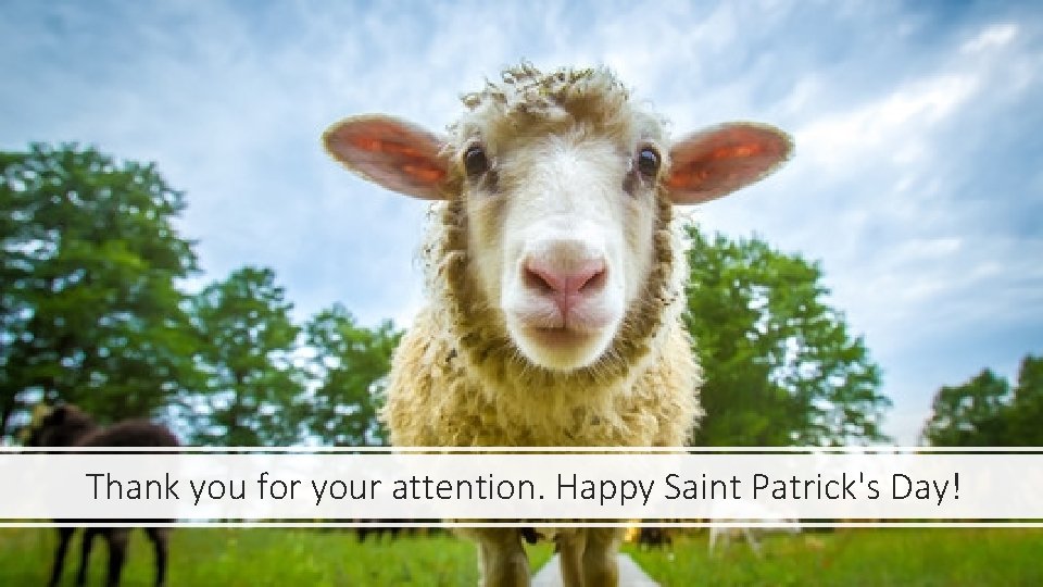 Thank you for your attention. Happy Saint Patrick's Day! 