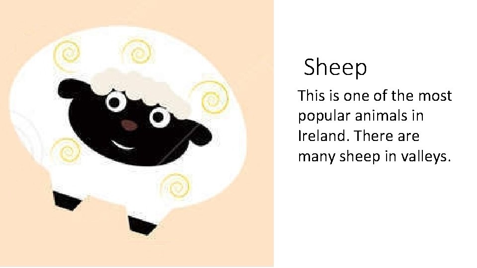 Sheep This is one of the most popular animals in Ireland. There are many