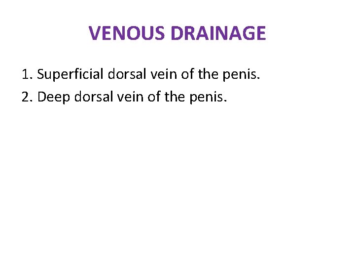 VENOUS DRAINAGE 1. Superficial dorsal vein of the penis. 2. Deep dorsal vein of VENOUS DRAINAGE 1. Superficial dorsal vein of the penis. 2. Deep dorsal vein of