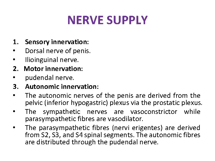 NERVE SUPPLY 1. • • 2. • 3. • • • Sensory innervation: Dorsal NERVE SUPPLY 1. • • 2. • 3. • • • Sensory innervation: Dorsal