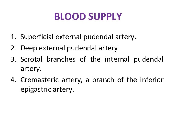 BLOOD SUPPLY 1. Superficial external pudendal artery. 2. Deep external pudendal artery. 3. Scrotal BLOOD SUPPLY 1. Superficial external pudendal artery. 2. Deep external pudendal artery. 3. Scrotal