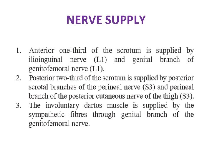 NERVE SUPPLY NERVE SUPPLY