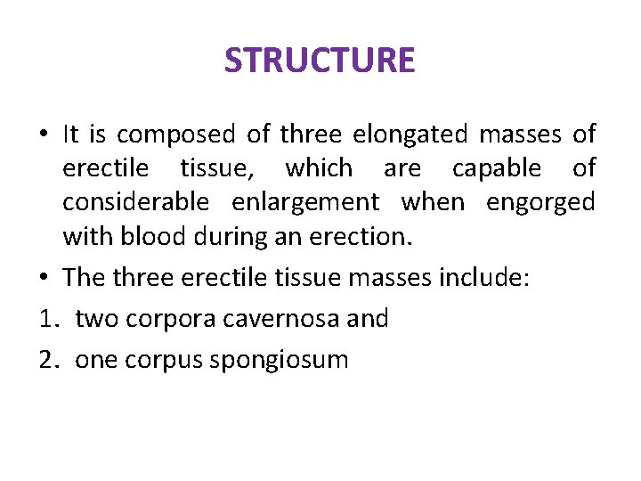 STRUCTURE • It is composed of three elongated masses of erectile tissue, which are STRUCTURE • It is composed of three elongated masses of erectile tissue, which are