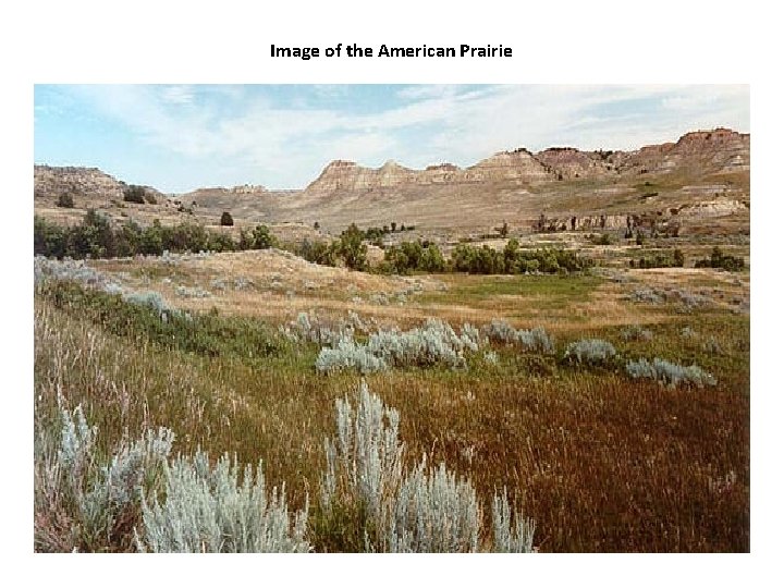 Image of the American Prairie 