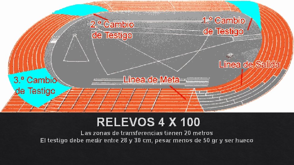 RELEVOS 4 X 100 Las zonas de transferencias tienen 20 metros El testigo debe