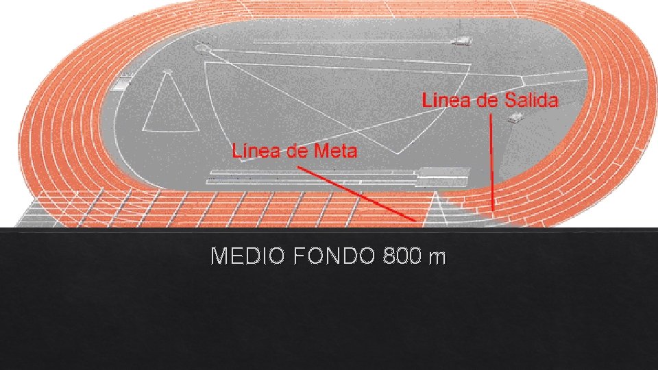 MEDIO FONDO 800 m 