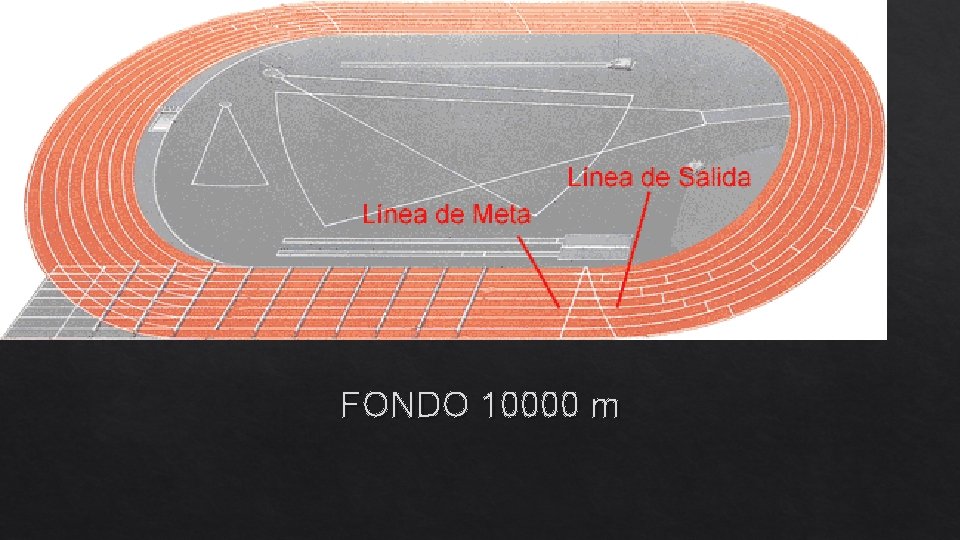 FONDO 10000 m 