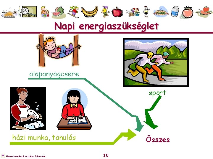 Napi energiaszükséglet alapanyagcsere sport házi munka, tanulás Magyar Dietetikusok Országos Szövetsége Összes 10 